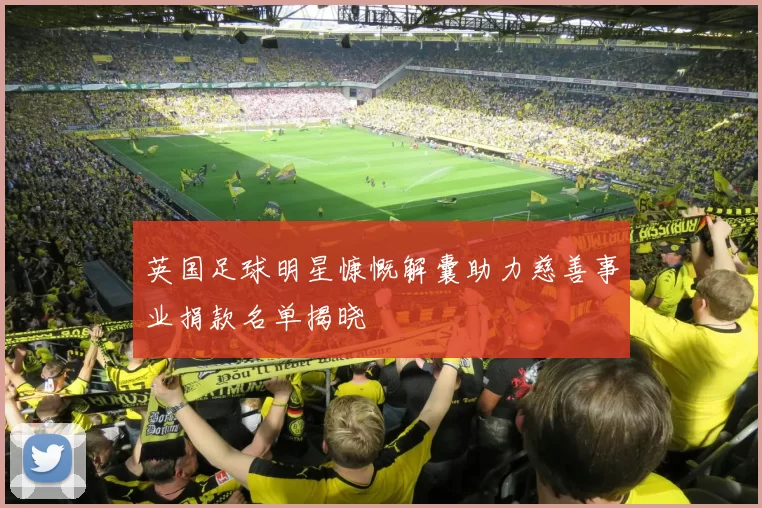 英国足球明星慷慨解囊助力慈善事业捐款名单揭晓