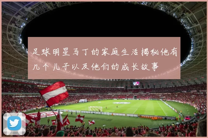 足球明星马丁的家庭生活揭秘他有几个儿子以及他们的成长故事
