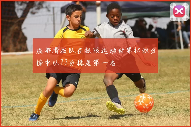 成都滑板队在极限运动世界杯积分榜中以73分稳居第一名