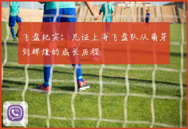 飞盘纪实：见证上海飞盘队从萌芽到辉煌的成长历程