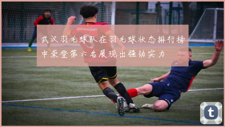 武汉羽毛球队在羽毛球状态排行榜中荣登第六名展现出强劲实力