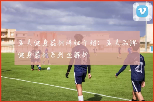 莱美健身器材详细介绍：莱美品牌健身器材系列全解析