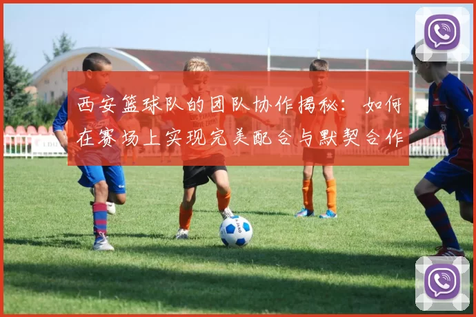西安篮球队的团队协作揭秘：如何在赛场上实现完美配合与默契合作