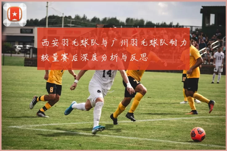 西安羽毛球队与广州羽毛球队耐力较量赛后深度分析与反思