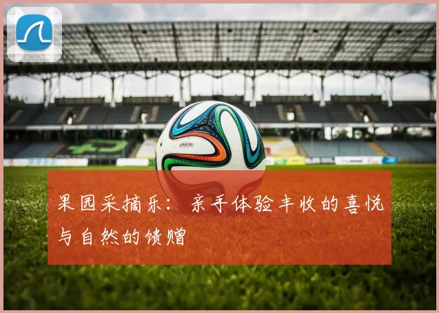 果园采摘乐：亲手体验丰收的喜悦与自然的馈赠