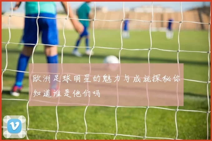 欧洲足球明星的魅力与成就探秘你知道谁是他们吗