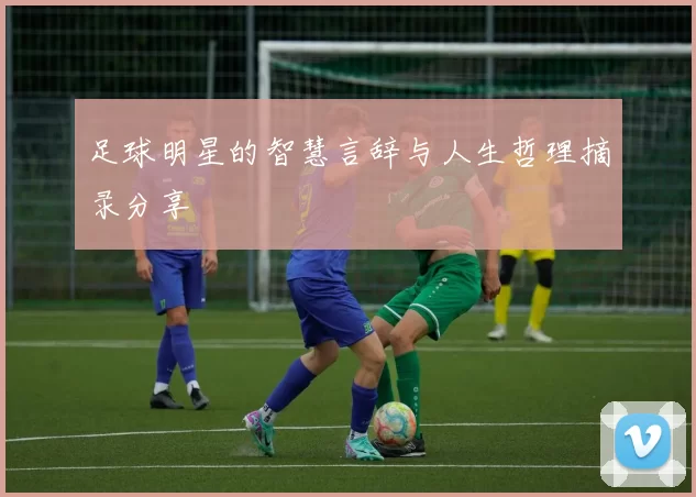 足球明星的智慧言辞与人生哲理摘录分享