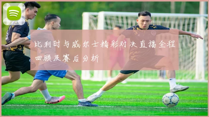 比利时与威尔士精彩对决直播全程回顾及赛后分析