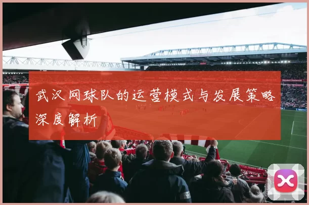 武汉网球队的运营模式与发展策略深度解析