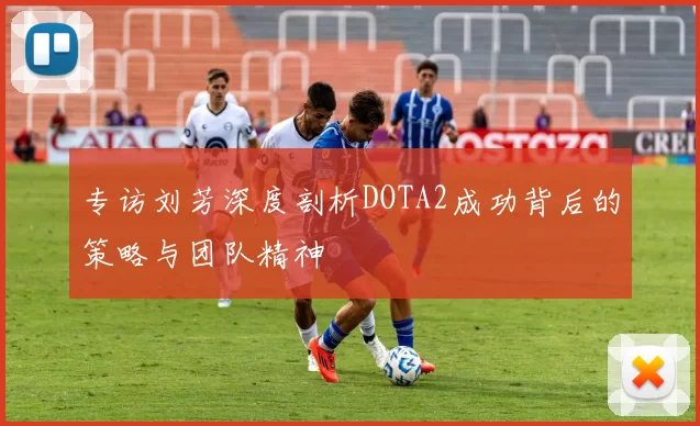 专访刘芳深度剖析DOTA2成功背后的策略与团队精神