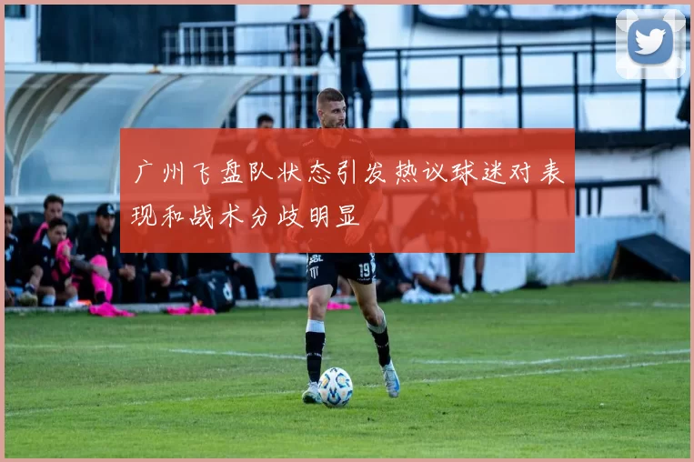 广州飞盘队状态引发热议球迷对表现和战术分歧明显