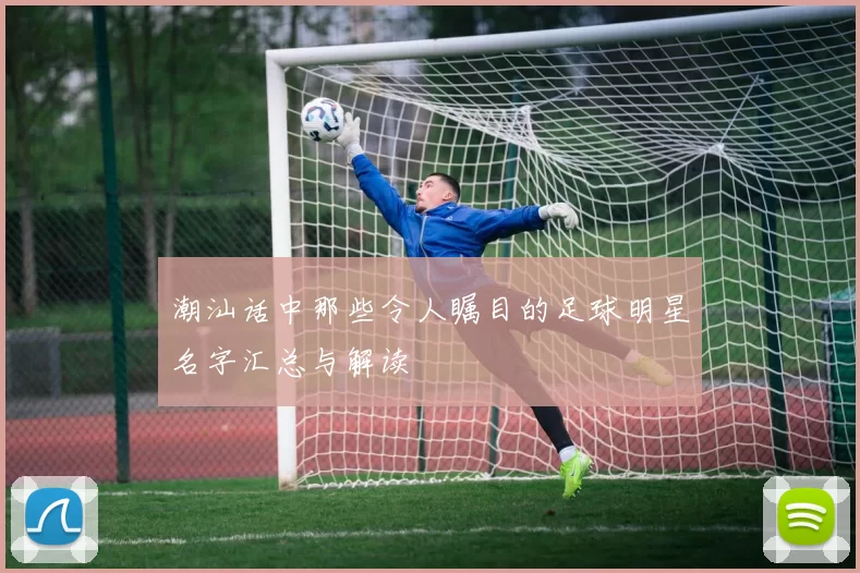 潮汕话中那些令人瞩目的足球明星名字汇总与解读