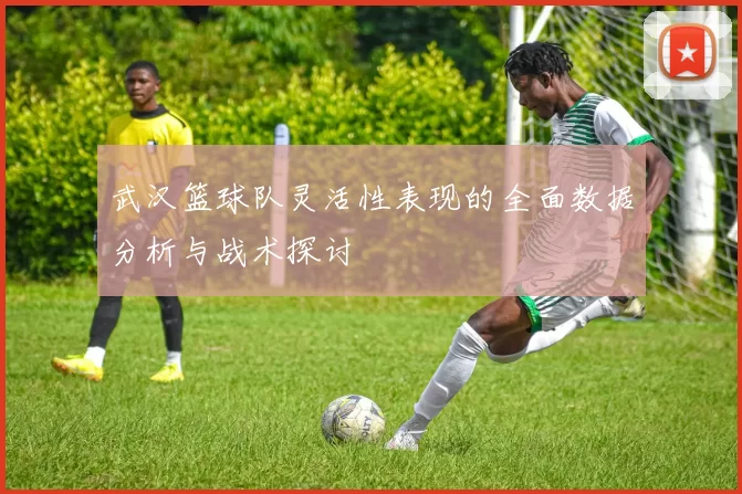 武汉篮球队灵活性表现的全面数据分析与战术探讨