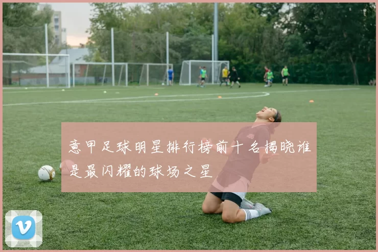 意甲足球明星排行榜前十名揭晓谁是最闪耀的球场之星