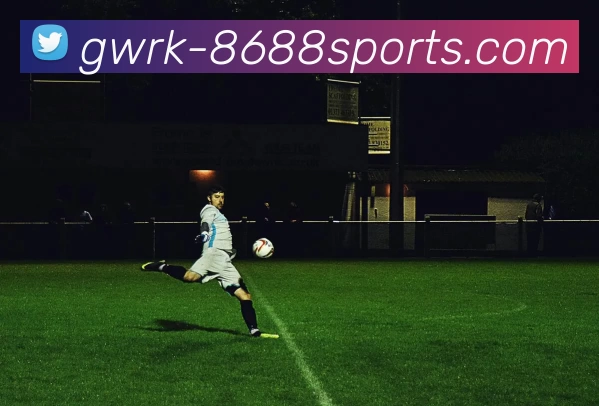 8688体育发展历程