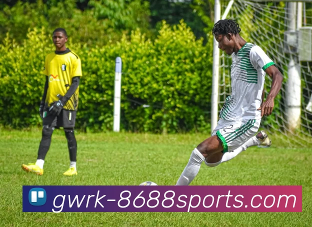 深圳攀岩队在世界攀岩锦标赛中的奋斗与突破之路全景回顾